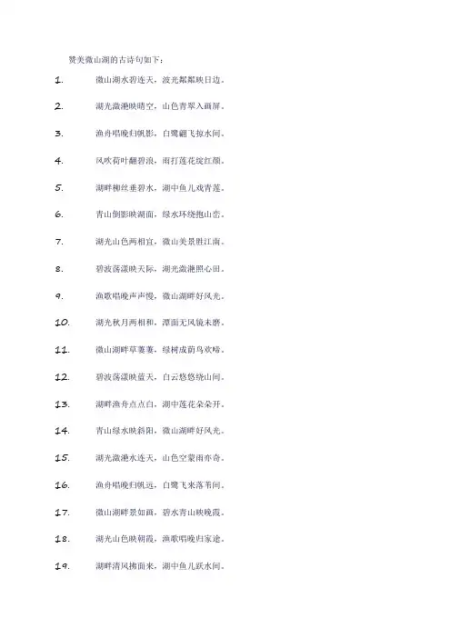 赞美微山湖的古诗句