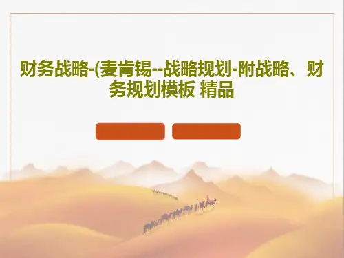 财务战略-(麦肯锡--战略规划-附战略、财务规划模板 精品共98页