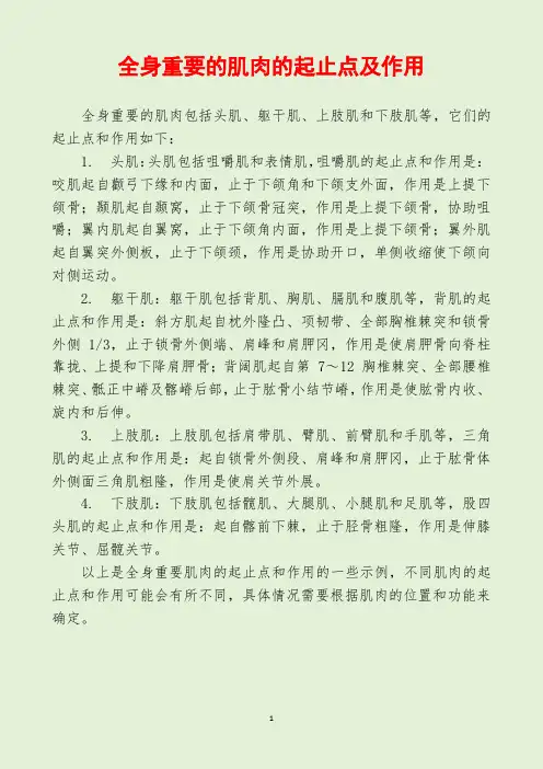 全身重要的肌肉的起止点及作用