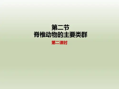 七年级生物上册第二节《脊椎动物的主要类群》第二课时参考课件