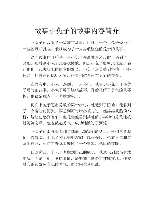 故事小兔子的故事内容简介