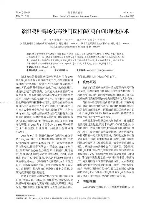 景阳鸡种鸡场伤寒沙门氏杆菌（鸡白痢）净化技术