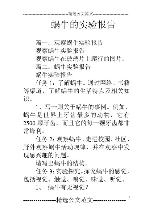 蜗牛的实验报告