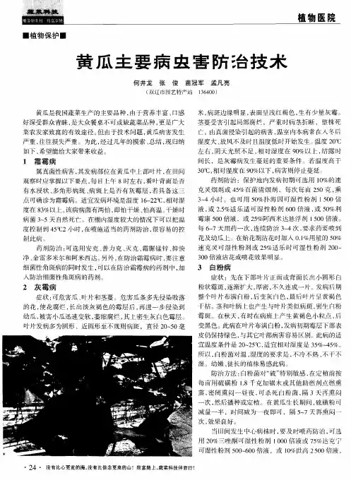 黄瓜主要病虫害防治技术