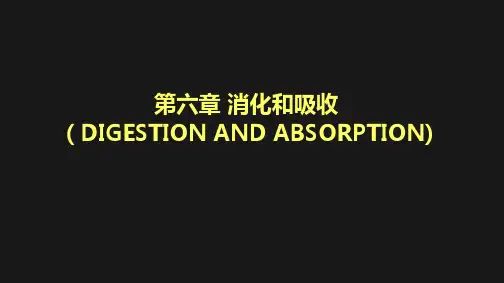 生理学-消化和吸收