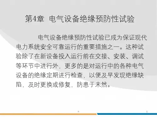 《预防性试验》PPT课件