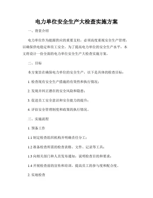 电力单位安全生产大检查实施方案