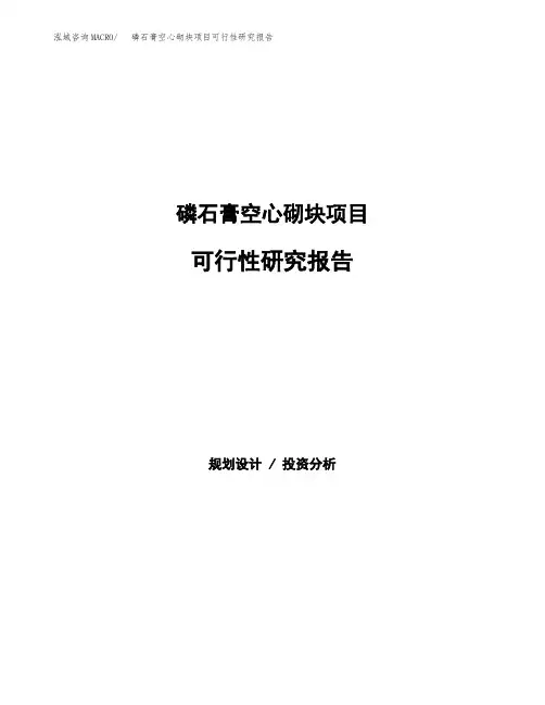 磷石膏空心砌块项目可行性研究报告发改委立项模板