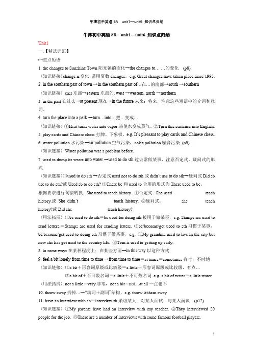 牛津初中英语8B知识点归纳
