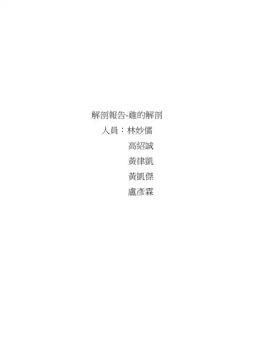 解剖报告-鸡的解剖