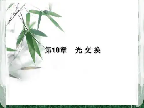 第10章光交换