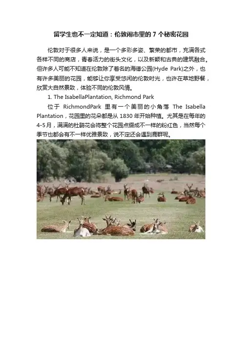 留学生也不一定知道：伦敦闹市里的7个秘密花园