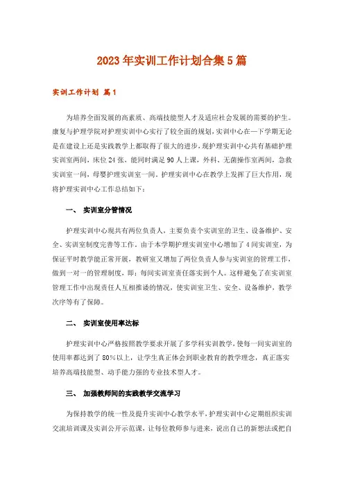2023年实训工作计划合集5篇