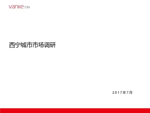 西宁城市进入性报告