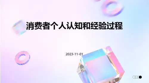 消费者个人认知和经验过程