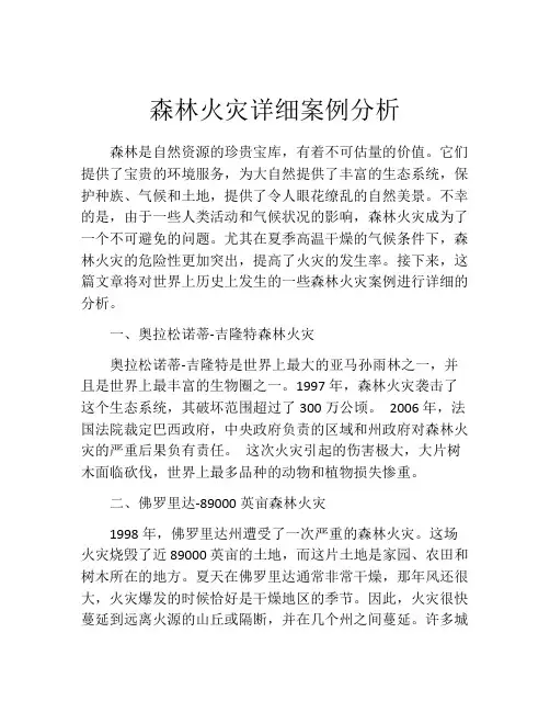 森林火灾详细案例分析