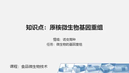 原核微生物基因重组