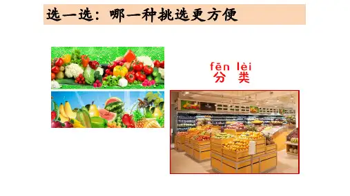 科学一下给物体分类