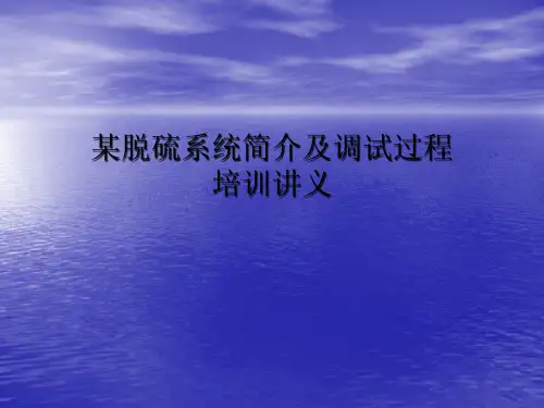 某脱硫系统培训课件