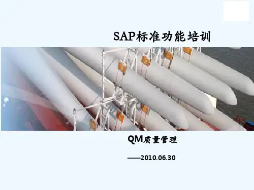 SAP标准功能培训教材