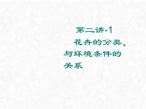 花卉的分类ppt课件