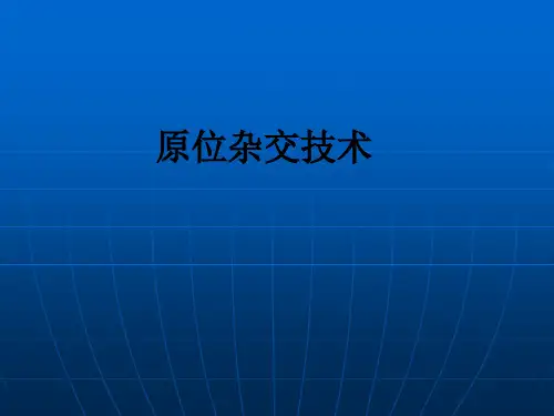 原位杂交技术