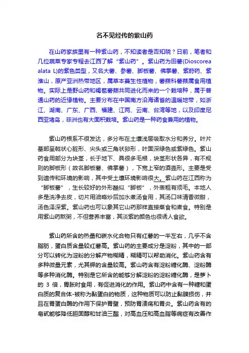 名不见经传的紫山药