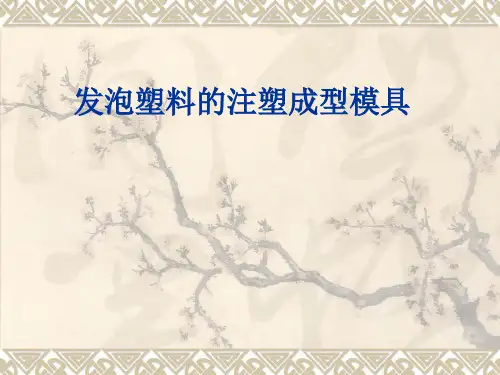 发泡成型模具