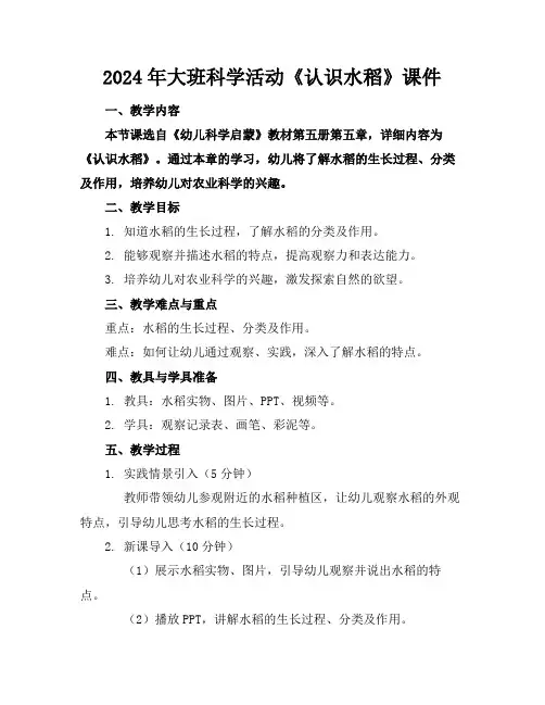 2024年大班科学活动《认识水稻》课件