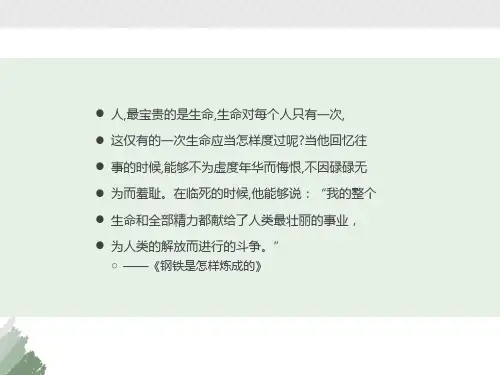 价值与价值观PPT