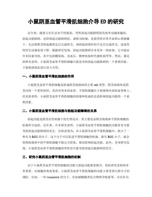 小鼠阴茎血管平滑肌细胞介导ED的研究