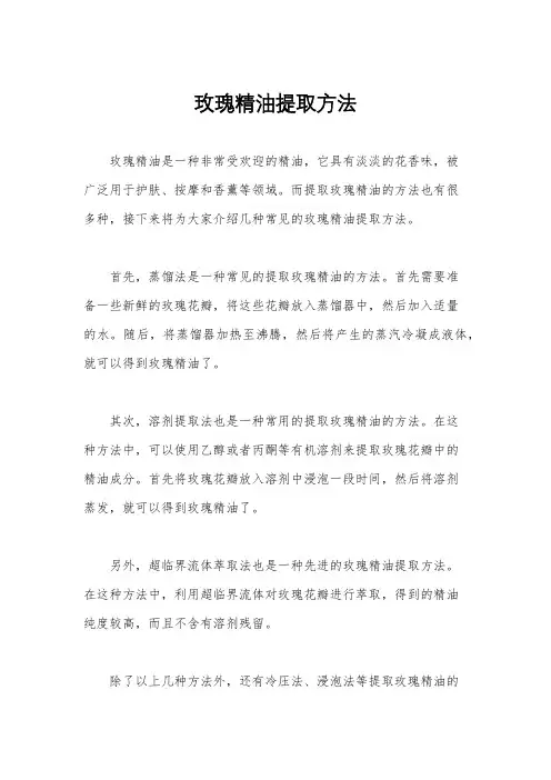玫瑰精油提取方法