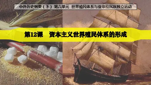 高中历史统编版(2019)必修中外历史纲要下册第12课 资本主义世界殖民体系的形成(共25张ppt)