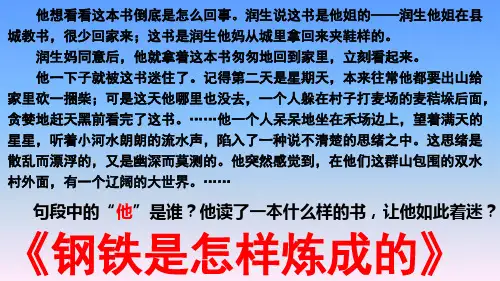 第六单元名著导读《钢铁是怎样炼成的》摘抄与笔记课件--部编版语文八年级下册