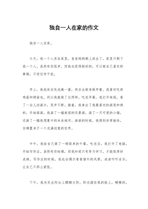 独自一人在家的作文