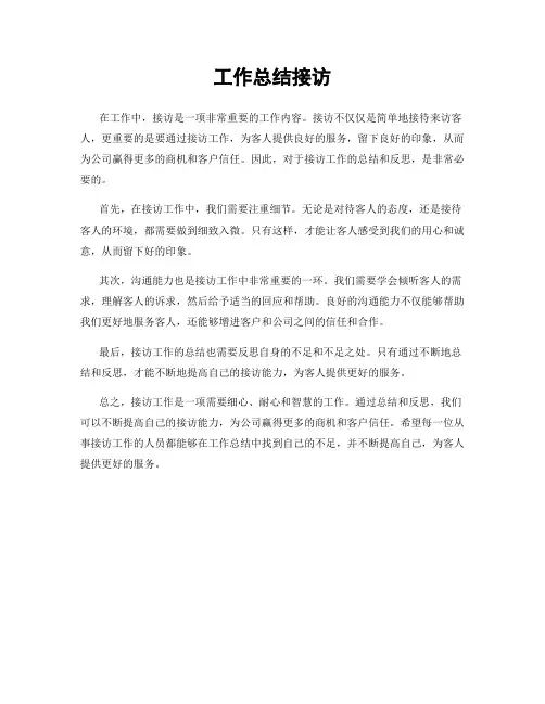 工作总结接访