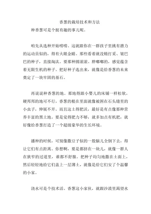 香葱的栽培技术和方法