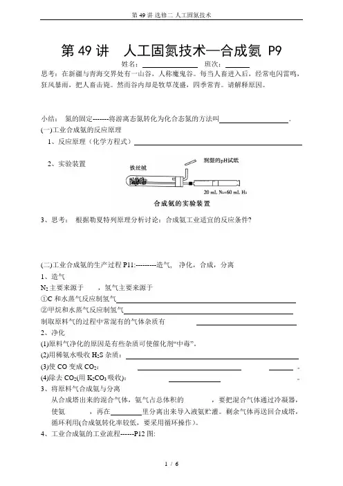第49讲-选修二-人工固氮技术