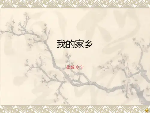 我的家乡  阜宁