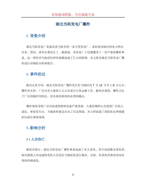湖北当阳发电厂爆炸