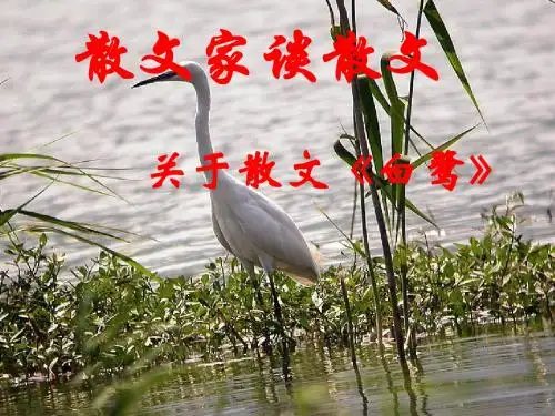 苏教版九年级语文(上册)课件：13 散文家谈散文