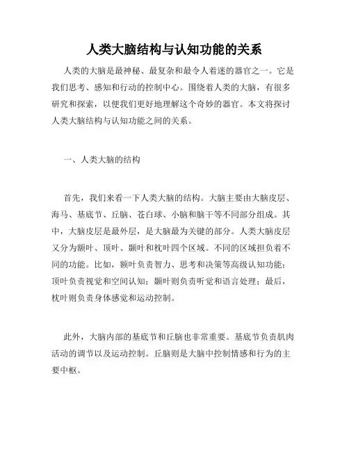 人类大脑结构与认知功能的关系