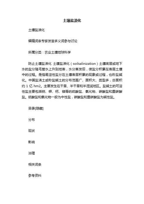 土壤盐渍化