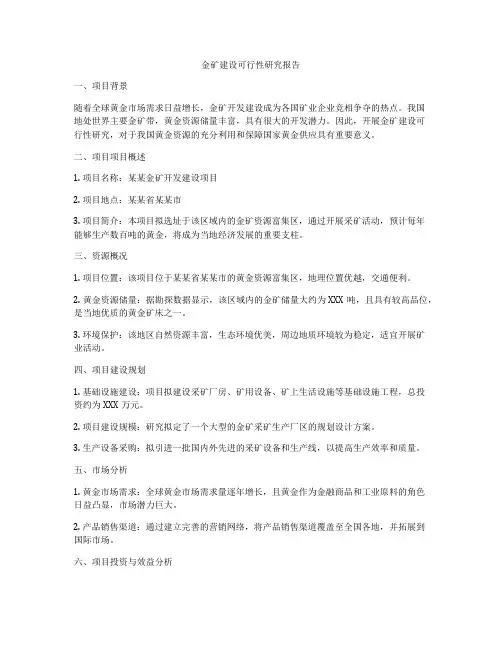 金矿建设可行性研究报告