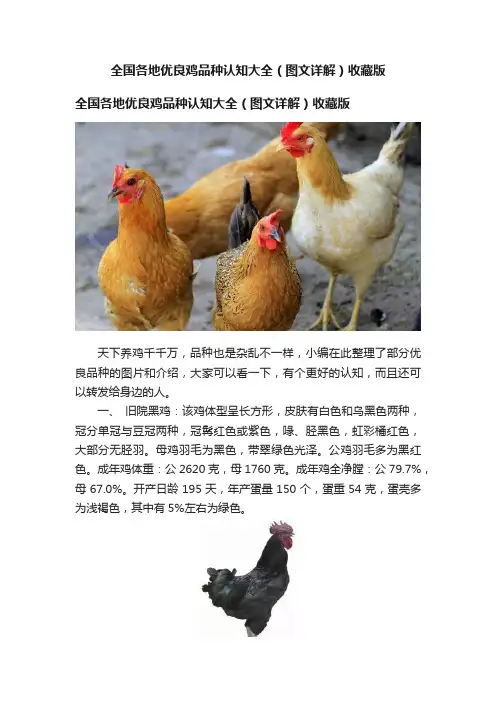 全国各地优良鸡品种认知大全（图文详解）收藏版