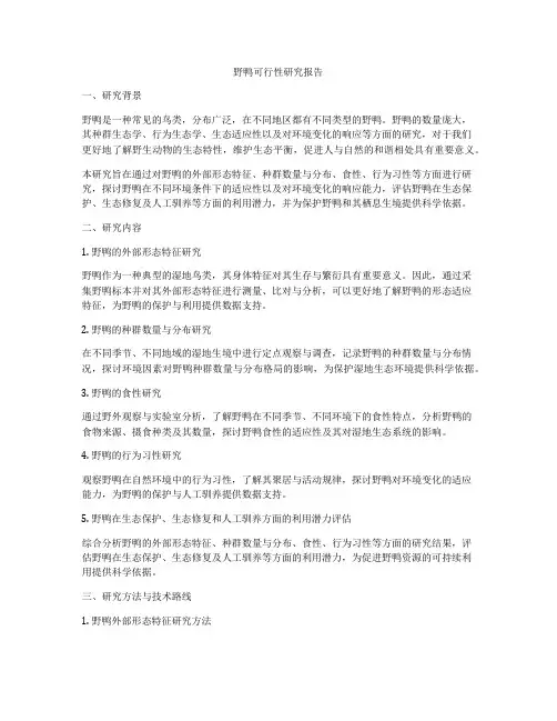 野鸭可行性研究报告