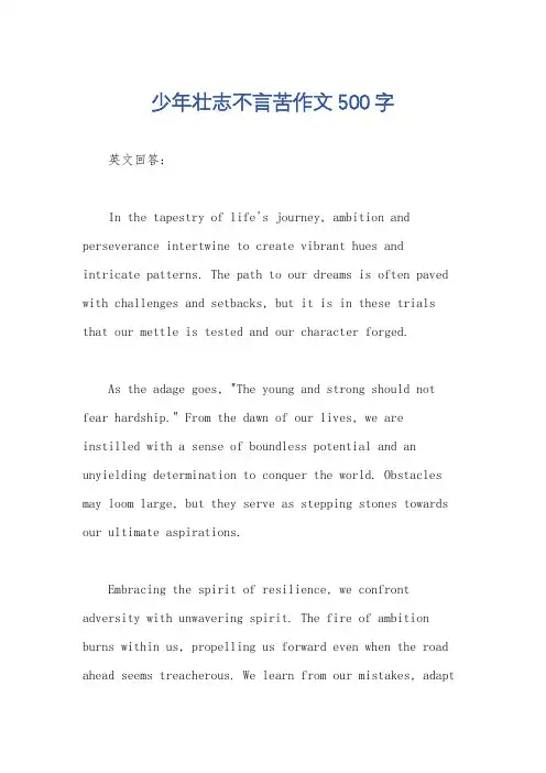 少年壮志不言苦作文500字