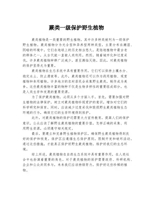 蕨类一级保护野生植物