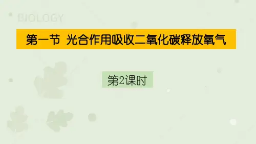 人教版七年级上册生物《光合作用吸收二氧化碳释放氧气》PPT教学课件(第2课时)