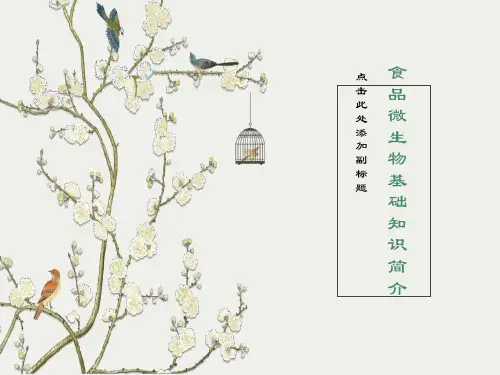 食品微生物基础知识简介